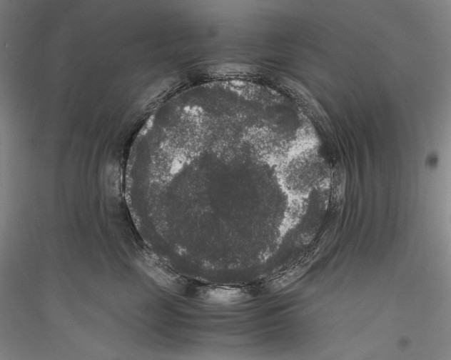 X0000116780669201001281123