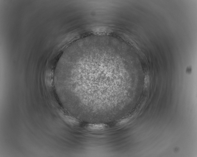 X0000116780671201001281123