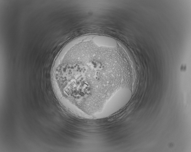 X0000116780672201001281123