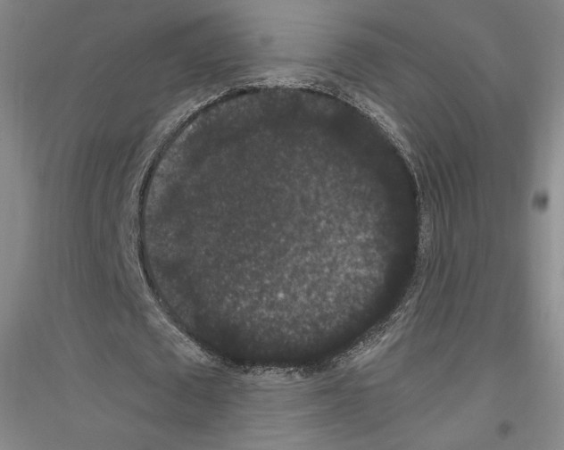 X0000116780673201001281122