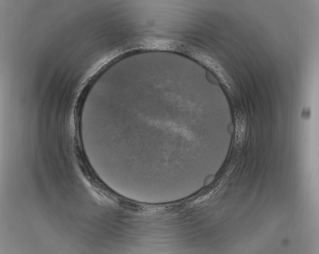 X0000116780674201001281122