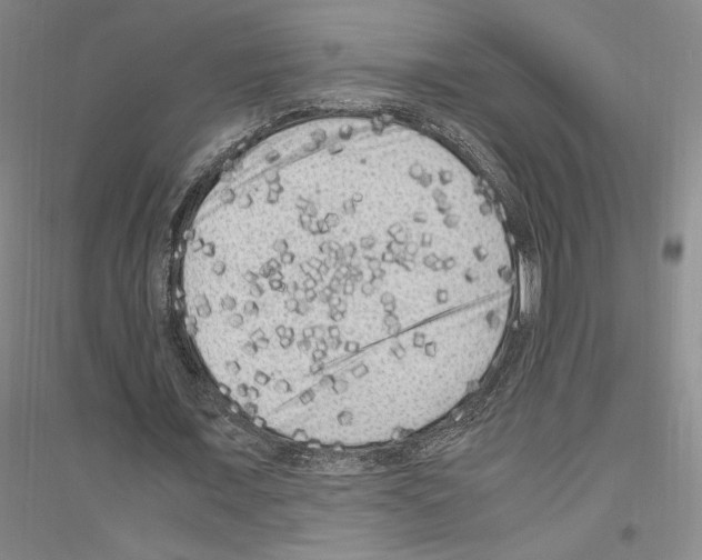 X0000116780675201001281122