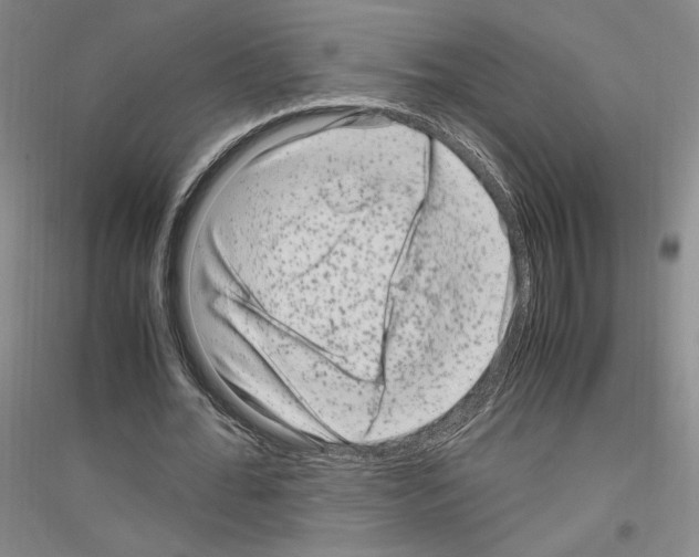 X0000116780676201001281122