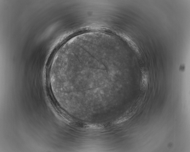 X0000116780678201001281122