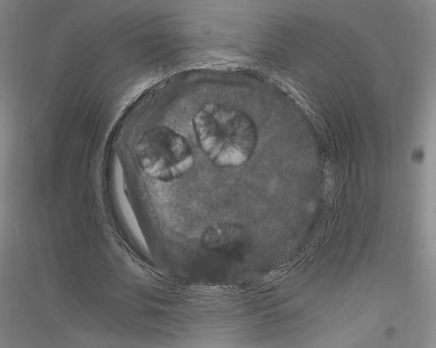 X0000116780679201001281122