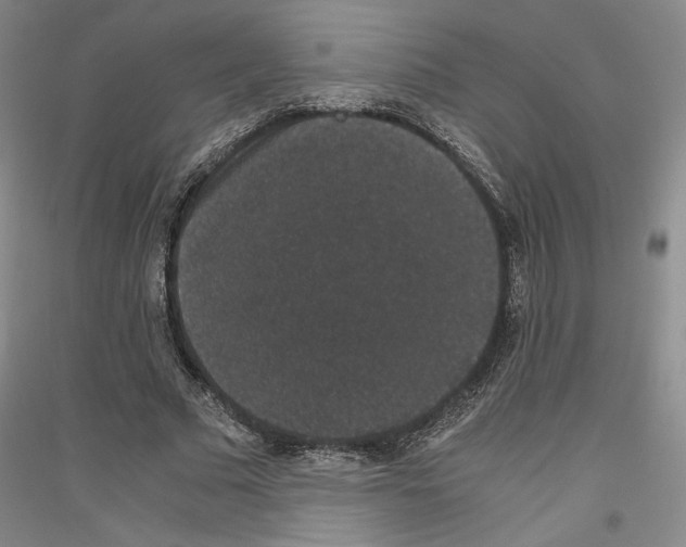 X0000116780681201001281122