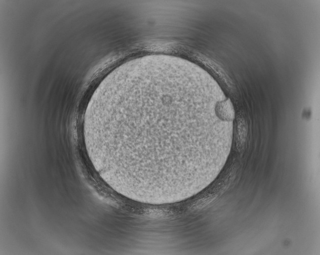 X0000116780682201001281122