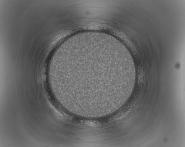 X0000116780683201001281122