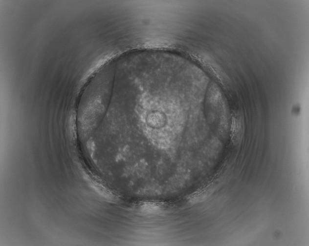 X0000116780684201001281122