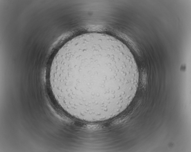 X0000116780686201001281122