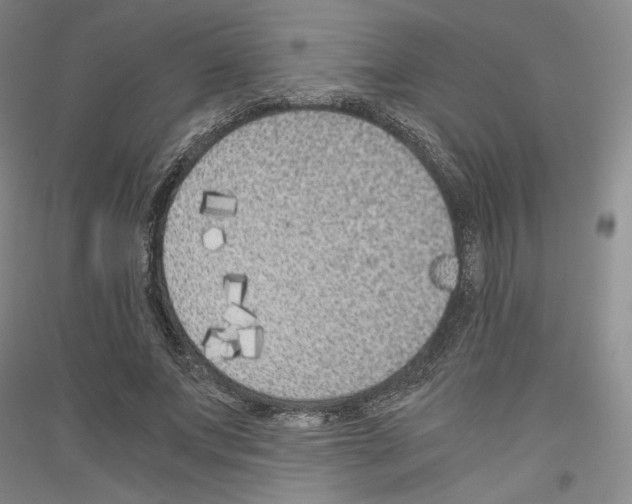 X0000116780687201001281122