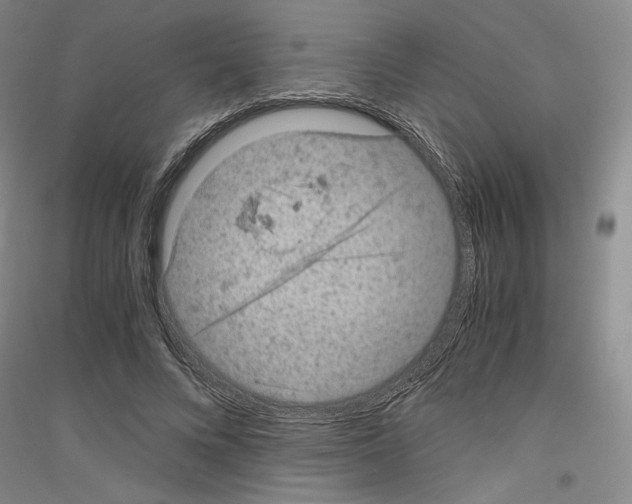 X0000116780688201001281122