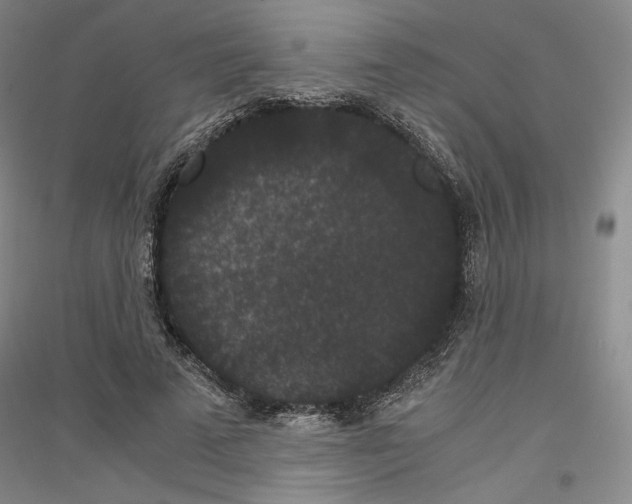 X0000116780689201001281122