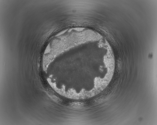 X0000116780691201001281122