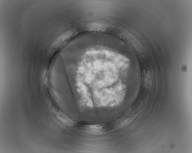 X0000116780692201001281122