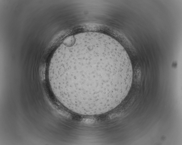 X0000116780694201001281122