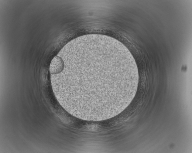 X0000116780695201001281122