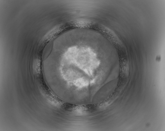 X0000116780696201001281122