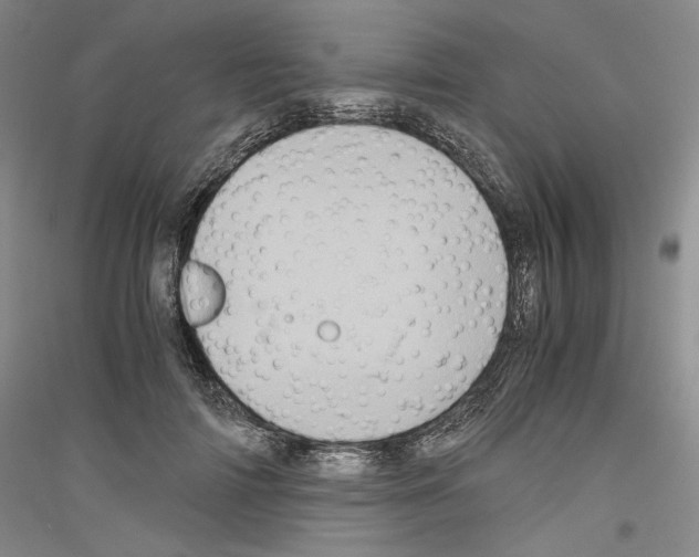 X0000116780698201001281122