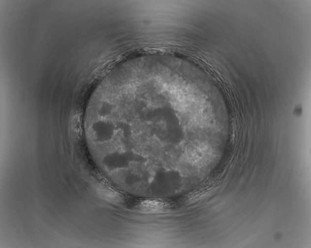 X0000116780699201001281122