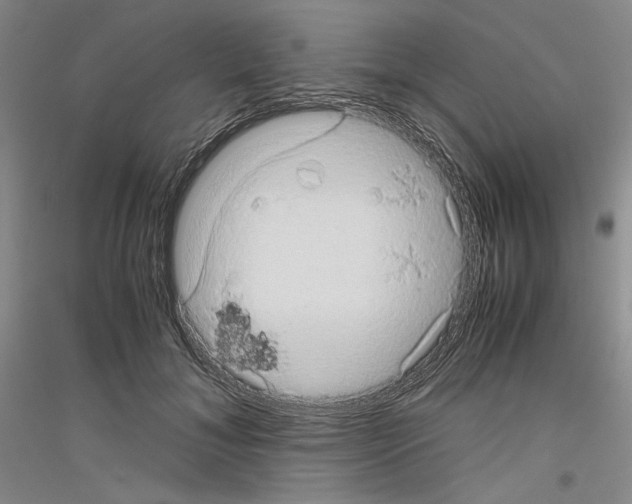 X0000116780700201001281122