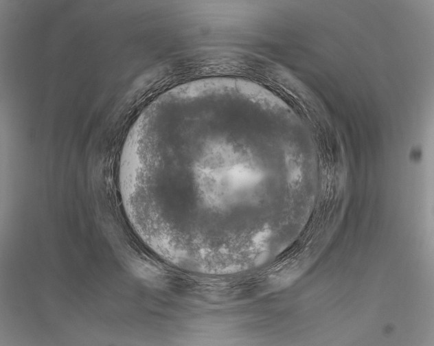 X0000116780701201001281122