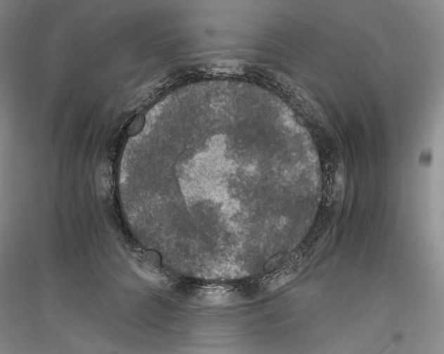 X0000116780704201001281122