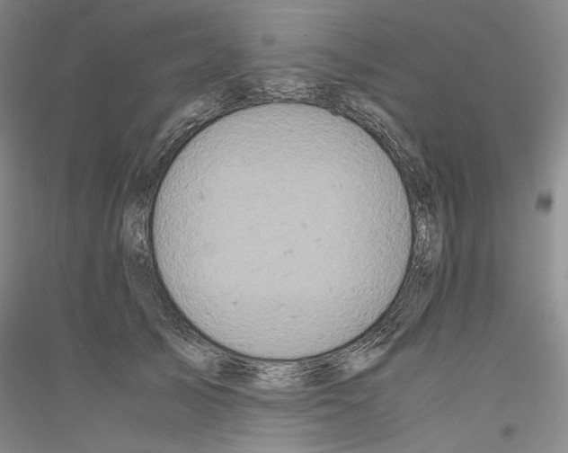 X0000116780705201001281122