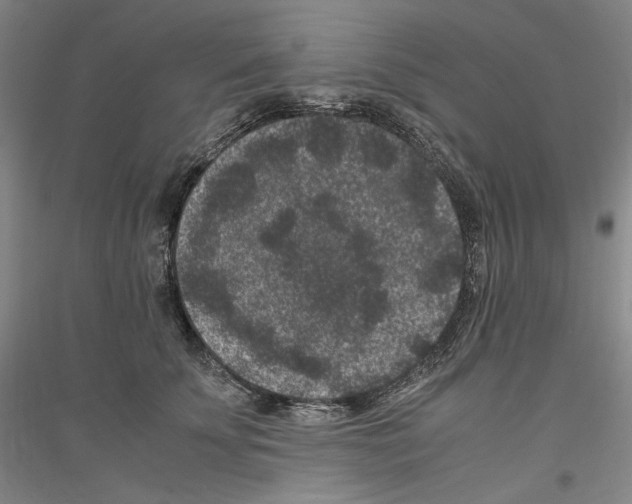 X0000116780707201001281122