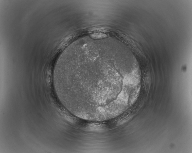 X0000116780708201001281122