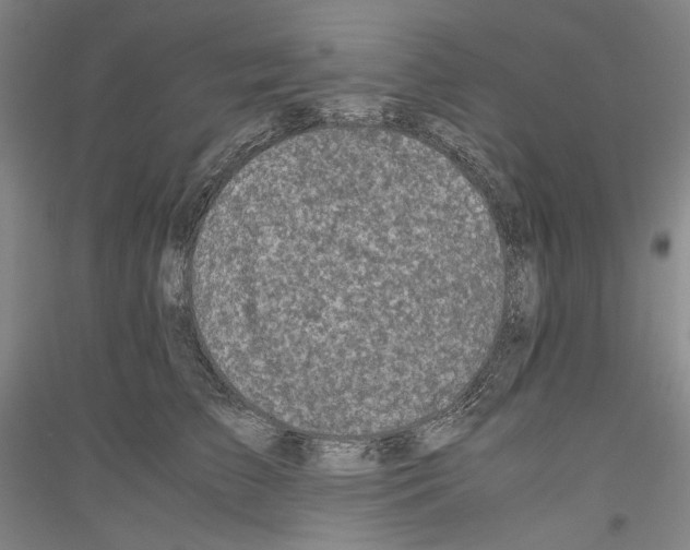 X0000116780709201001281121