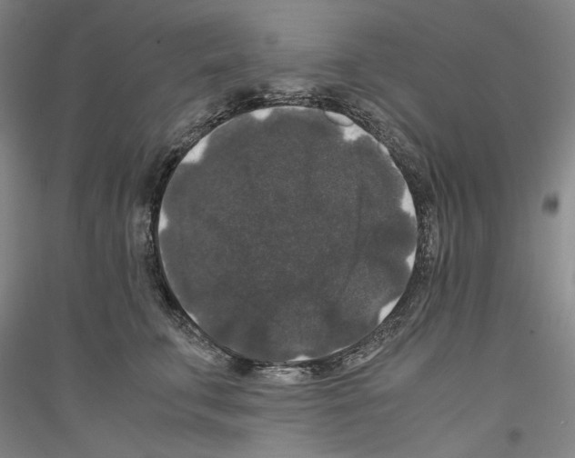 X0000116780711201001281121