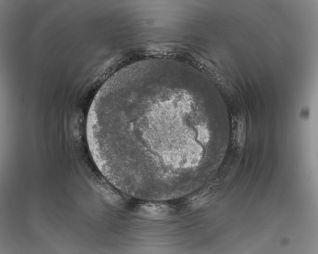 X0000116780712201001281121