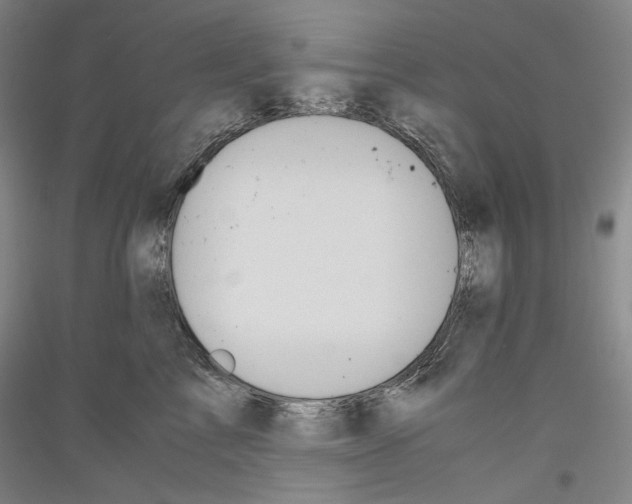 X0000116780713201001281121