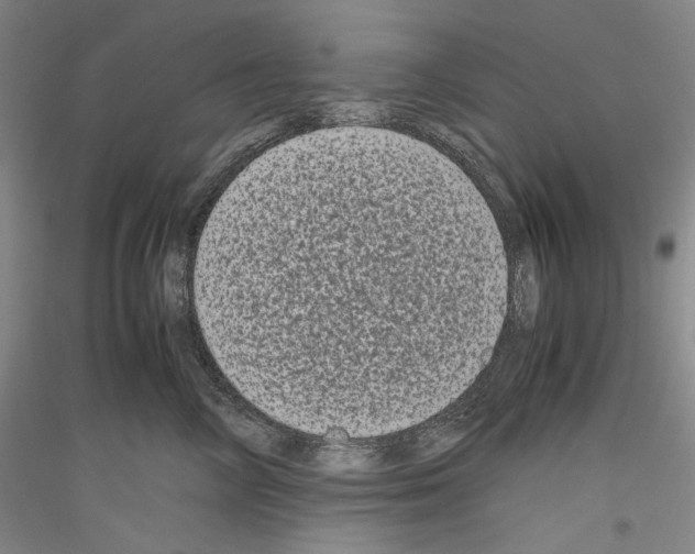 X0000116780714201001281121