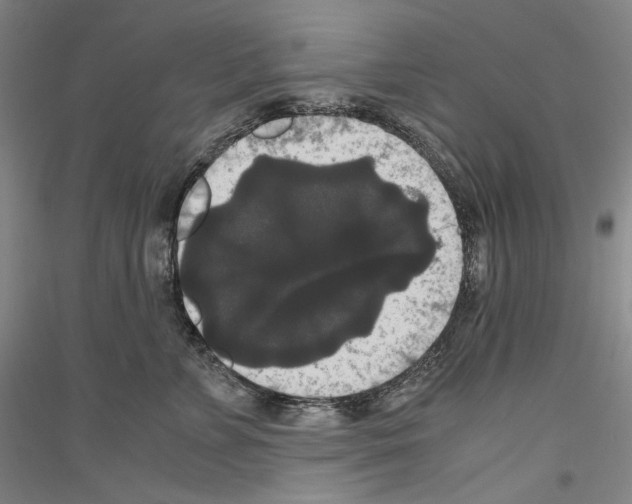 X0000116780715201001281121