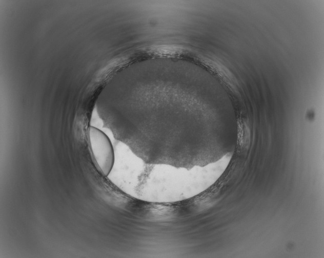 X0000116780718201001281121