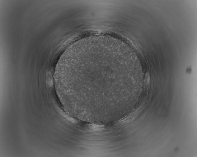 X0000116780719201001281121