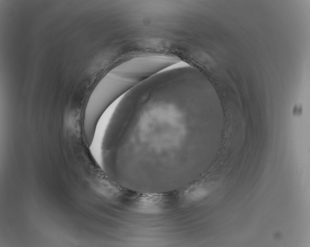 X0000116780720201001281121