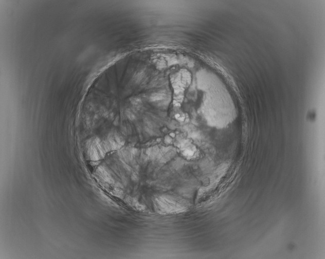 X0000116780721201001281121