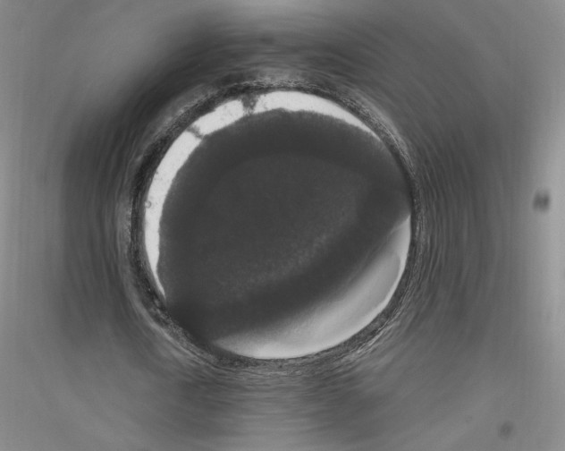 X0000116780722201001281121