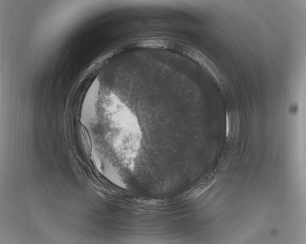 X0000116780723201001281121