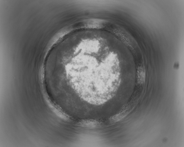 X0000116780726201001281121