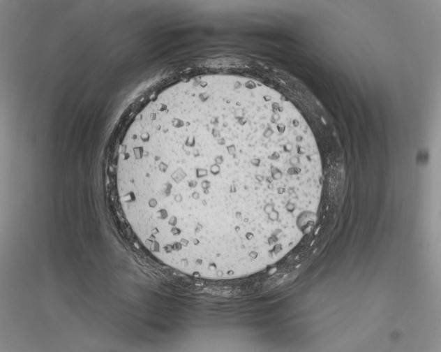 X0000116780727201001281121