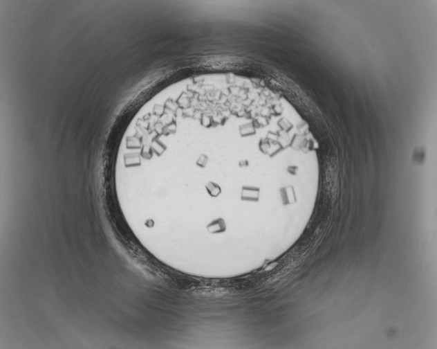 X0000116780730201001281121