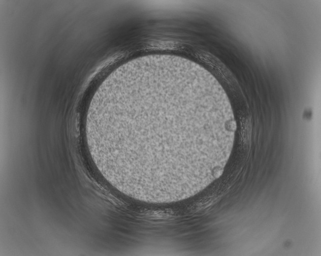 X0000116780731201001281121