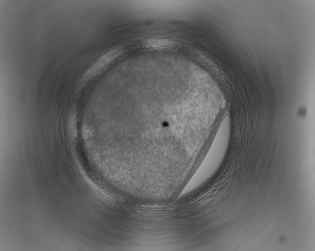 X0000116780734201001281121