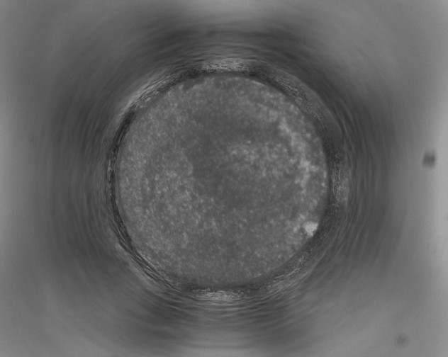 X0000116780735201001281121