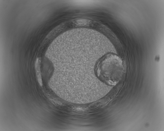 X0000116780737201001281121