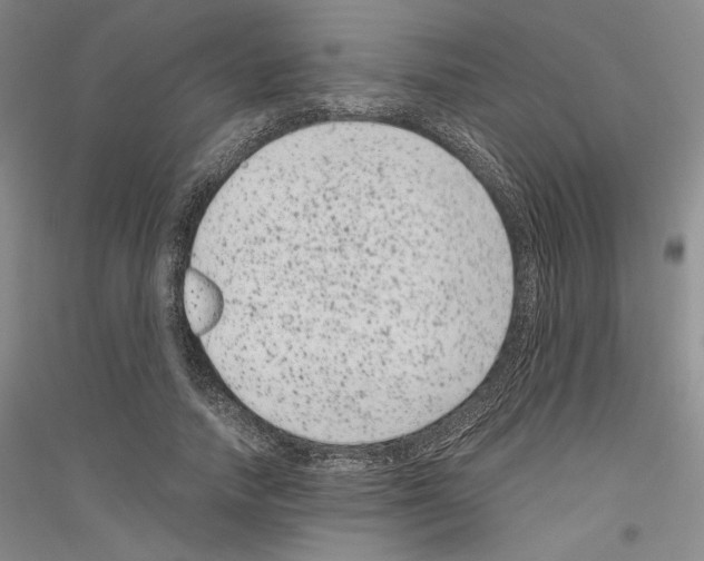 X0000116780738201001281121